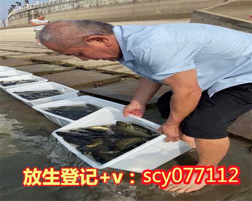 惠州为什么放生鱼,惠州哪里可以放生蚬子的,惠州中华草龟可以放生惠州吗