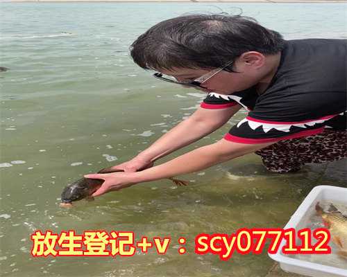 重庆放生的泥鳅能帮到家人子女吗,重庆哪里适合放生蜈蚣,重庆农历七月初一放