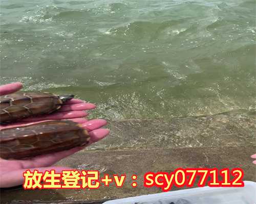 漳州为流产的孩子放生什么,漳州在哪能放生蜈蚣,漳州为什么海龟要放生